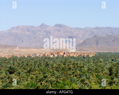 Agdz, Draa-Tal, Ouarzazate, Marokko, Nordafrika Stockfoto