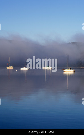 Segelboote in der Knysna Lagune Südafrika am frühen Morgen Stockfoto