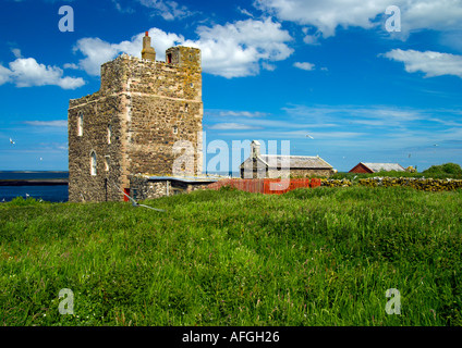 Farne Insel Turm Stockfoto