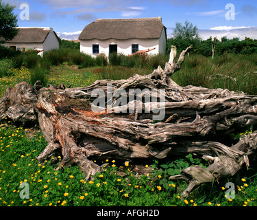 IE - CO. KERRY: Cottage im Moor Dorf Open Air Museum Stockfoto