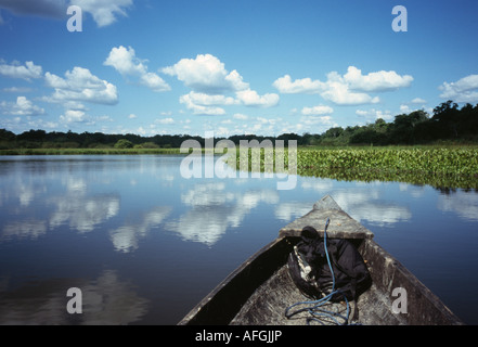 Kanu fahren - Rurrenabaque, Amazonasbecken, Beni, Bolivien Stockfoto
