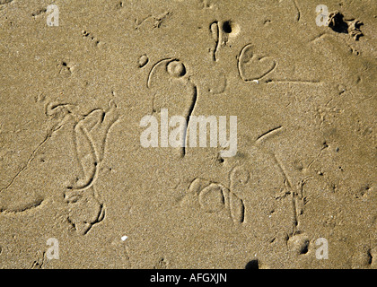 Schreiben in den Sand, die wahrscheinlich von Wattwürmern Interpretation Marina gemacht Stockfoto