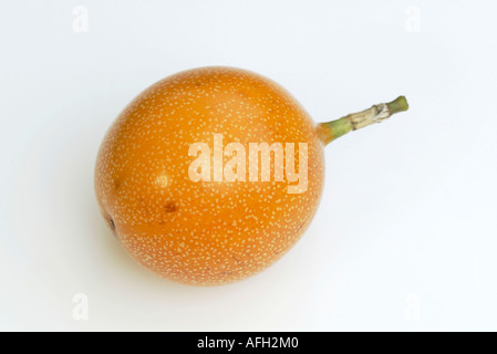 Süße Granadilla Obst / (Passiflora Ligularis) Stockfoto