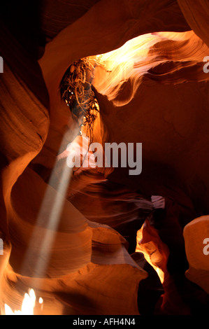 Seite Antelope Canyon in Arizona helle weiße Welle des Lichtes strahlt in innere Dunkelheit einen Slot Canyon rote Felsen Stockfoto