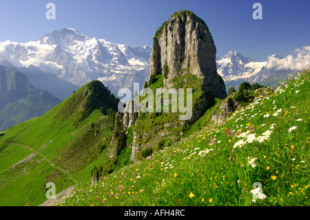 Mt-Daubenhorn vor Mt Jungfrau Schynige Platte Berner Oberland Schweiz Stockfoto