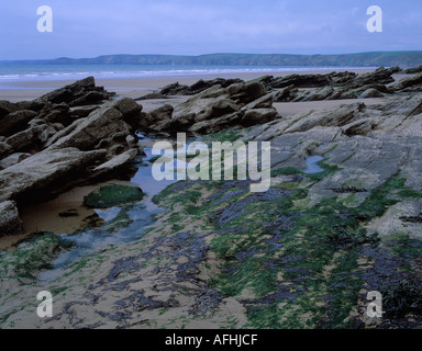 Felsenpools und Algen am Newgale Sands Pembrokeshire Wales UK Stockfoto