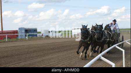 Rodeo Alberta Kanada Chuck Wagon racing Stockfoto