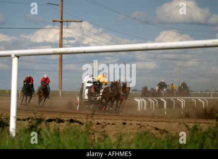 Rodeo Alberta Kanada Chuck Wagon racing Stockfoto