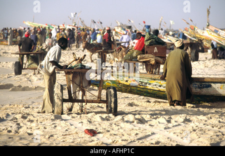Plage des Pêcheurs - Nouakchott, Mauretanien Stockfoto