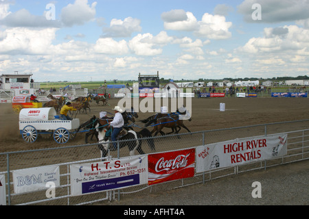 Rodeo Alberta Kanada Chuck Wagon racing Stockfoto