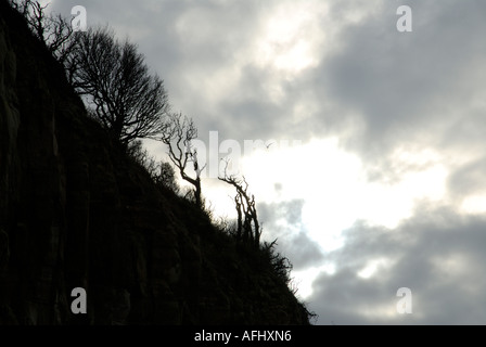 verlassenen Strand Klippe Pett Ebene Roggen East Sussex Stockfoto