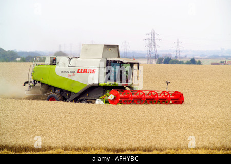Beim Ernten von Weizen Claas Lexion 580 Terra Trac Mähdrescher Stockfoto