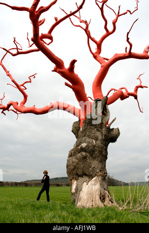 Diese alten umwickelte Bäume Montgomeryshire ist Teil einer Serie namens gebundenen erstellt von Cardiff ansässigen Künstlers Philippa Lawrence Stockfoto