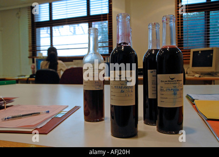 Sample Test Wein Flaschen im Labor der Golan Heights Winery in Katzrin Israel Stockfoto