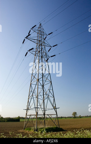 Masten und Stromleitungen Stockfoto