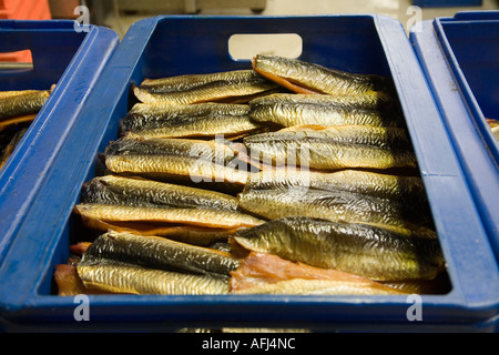 Heringsfilets in Feld L.Robsons & Söhne, die die berühmten Craster Bückling machen. Northumberland, England Stockfoto