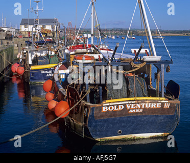 Angelboote/Fischerboote vertäut im Hafen schlendern Northumberland England UK Stockfoto