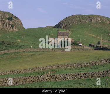 Holwick Narben im Teesdale County Durham, England, UK Stockfoto