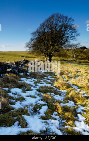 Letzten Reste von Schnee auf die Mendip Hills in der Nähe von Priddy, Somerset, England. Stockfoto