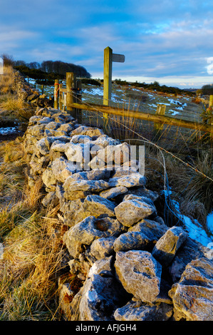 Winter's Morgen Sonnenlicht an einem frostigen Stonewall am Beginn der Fußweg zu Velvet unten auf die Mendip Hills in der Nähe der Kartause, Somerset, England Stockfoto