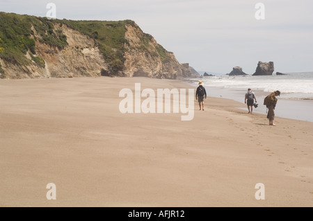 Drei Menschen wandern und erkunden Sie Kellum Strand entlang unter Punkt Reyes National Seashore in Golden Gate National Recreation Area Stockfoto