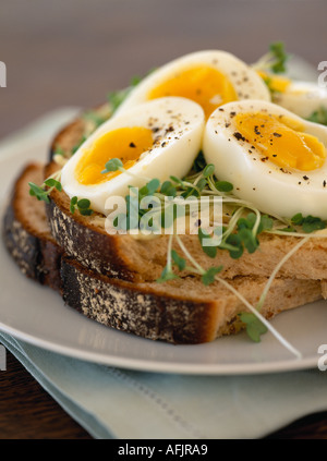 Ei und Kresse Sandwich mit Schwarzbrot Stockfoto