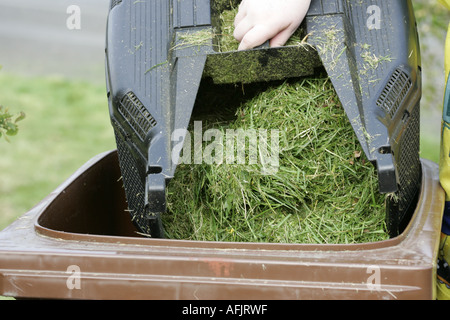 Hand des jungen in braun Garten Abfallrecycling Rasenmäher Mähen Container entleert bin Herzinfarkt-Nordirland Stockfoto