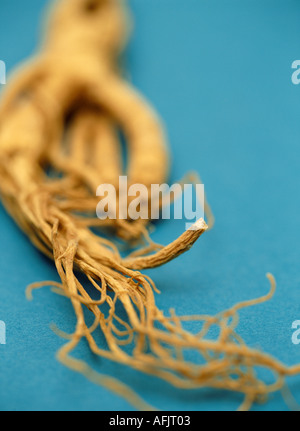 Ginseng-Wurzel Stockfoto