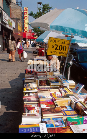 New York, Staat, New York, Stadt, Manhattan, Stadt, Metropole, Harlem, Schwarze Schwarze Afrikanische Afrikanische ethnische Minderheit, Nachbarschaft, Wohnen, Gemeinde, NY125t Stockfoto