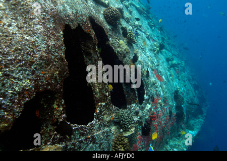 Fische schwimmen um den Rumpf eines Schiffswracks in der Nähe von Faadhippolhu-Atoll, Malediven. Stockfoto