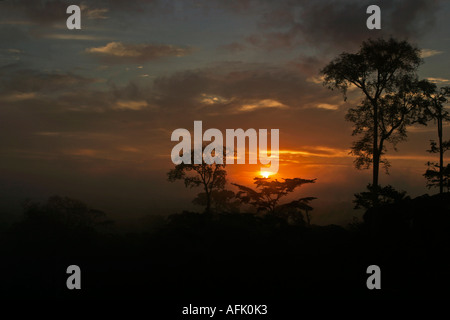 Sonnenauf- oder Sonnenuntergang über afrikanischen tropischen Regenwald, Ghana, Westafrika Stockfoto