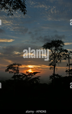 Sonnenauf- oder Sonnenuntergang über afrikanischen tropischen Regenwald, Ghana, Westafrika Stockfoto