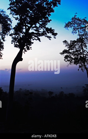 Morgendämmerung über afrikanischen Regenwald mit Nebel clearing, Ghana, Westafrika Stockfoto