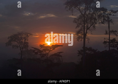 Sonnenauf- oder Sonnenuntergang über afrikanischen tropischen Regenwald, Ghana, Westafrika Stockfoto