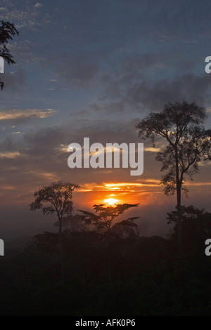 Sonnenauf- oder Sonnenuntergang über afrikanischen tropischen Regenwald, Ghana, Westafrika Stockfoto