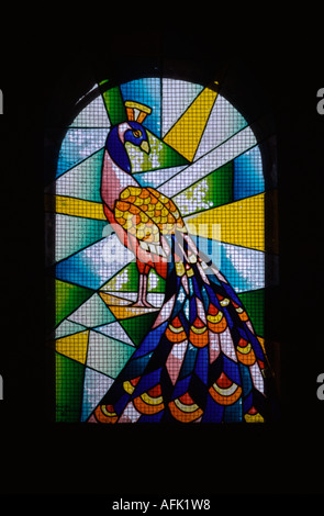 Glasfenster mit Abbildung eines Pfau im Inneren der Kirche von Beit Jimal (Bet Gamal) Kloster in Israel liegt südlich von Beth-Shemesh Stockfoto