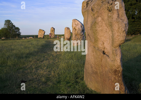 Süd-West-Quadranten der Steinkreis von Avebury und Henge - Blick in Richtung Südportal. Wiltshire, England, Vereinigtes Königreich. Stockfoto