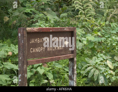 Holz- Canopy Walkway unterzeichnen, poring Hot Spring, Sabah, Malaysia Stockfoto