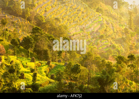 Himalaya Himalayan Landschaft Hügel Tal NAGARKOT HIMALAYA Resort Bergkette der Hügel Stockfoto