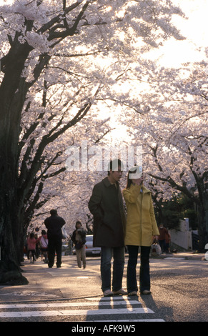 Ein paar nehmen Sie ein Bild der Kirschblüte in Tokyo mit einer Handy-Kamera, Japan Stockfoto