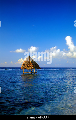 Über Wasser Palapa Bungalow in Belize Karibik Eigenschaft veröffentlichte Bild Stockfoto