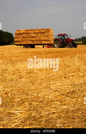 Roter Traktor und Anhänger beladen mit Heu Ballen Cheshire UK Stockfoto