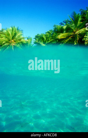 Aus dem Wasser, Palmen und blauer Himmel in den Virgin Islands USVI Karibik anzeigen Stockfoto