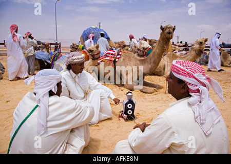 Jockeys warten neben Racing Kamele im Fahrerlager an Palmyra Rennstrecke. Die Rennen finden jedes Jahr im Rahmen des Festivals Palmyra, Syrien statt. Stockfoto