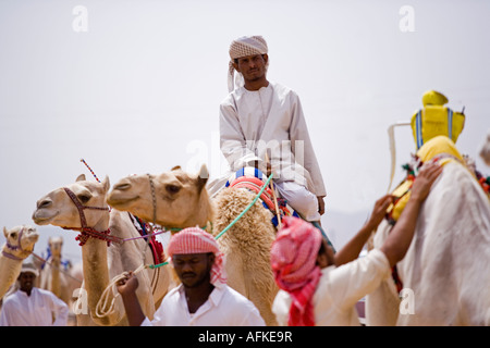 Ein Jockey und sein Kamel machen ihren Weg zum Start des Rennens in Palmyra. Die Rennen finden jedes Jahr im Rahmen des Festivals Palmyra, Syrien statt. Stockfoto