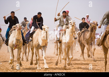 Ein Kamel Rennen startet um von Palmyra 5km lange Rennstrecke. Die Rennen finden jedes Jahr im Rahmen des Festivals Palmyra, Syrien statt. Stockfoto