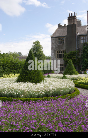 Levens Hall, Cumbria, Topiary Garten, UK, Europa Stockfoto