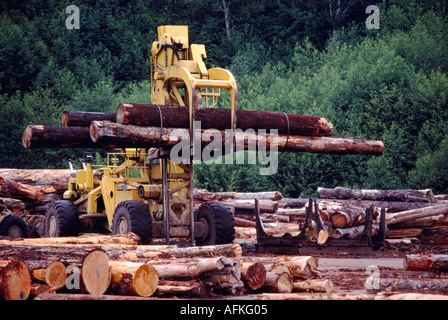 Eine Log-Picker Sortierung meldet sich bei einer Art Hof in der Nähe von Port Renfrew, BC, Vancouver Island, British Columbia, Kanada Stockfoto