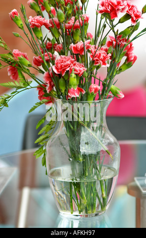 Rosa gestreifte Nelken in Vase Klarglas Stockfoto