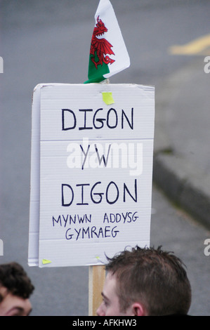 walisische Sprache Bildung Protest Aberystwyth Ceredigion Wales "genug ist genug - wir fordern eine walisische Ausbildung" Stockfoto